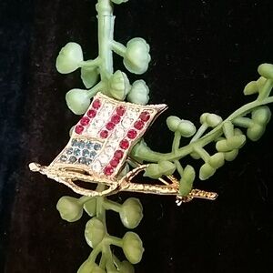 Stunning patriotic pin